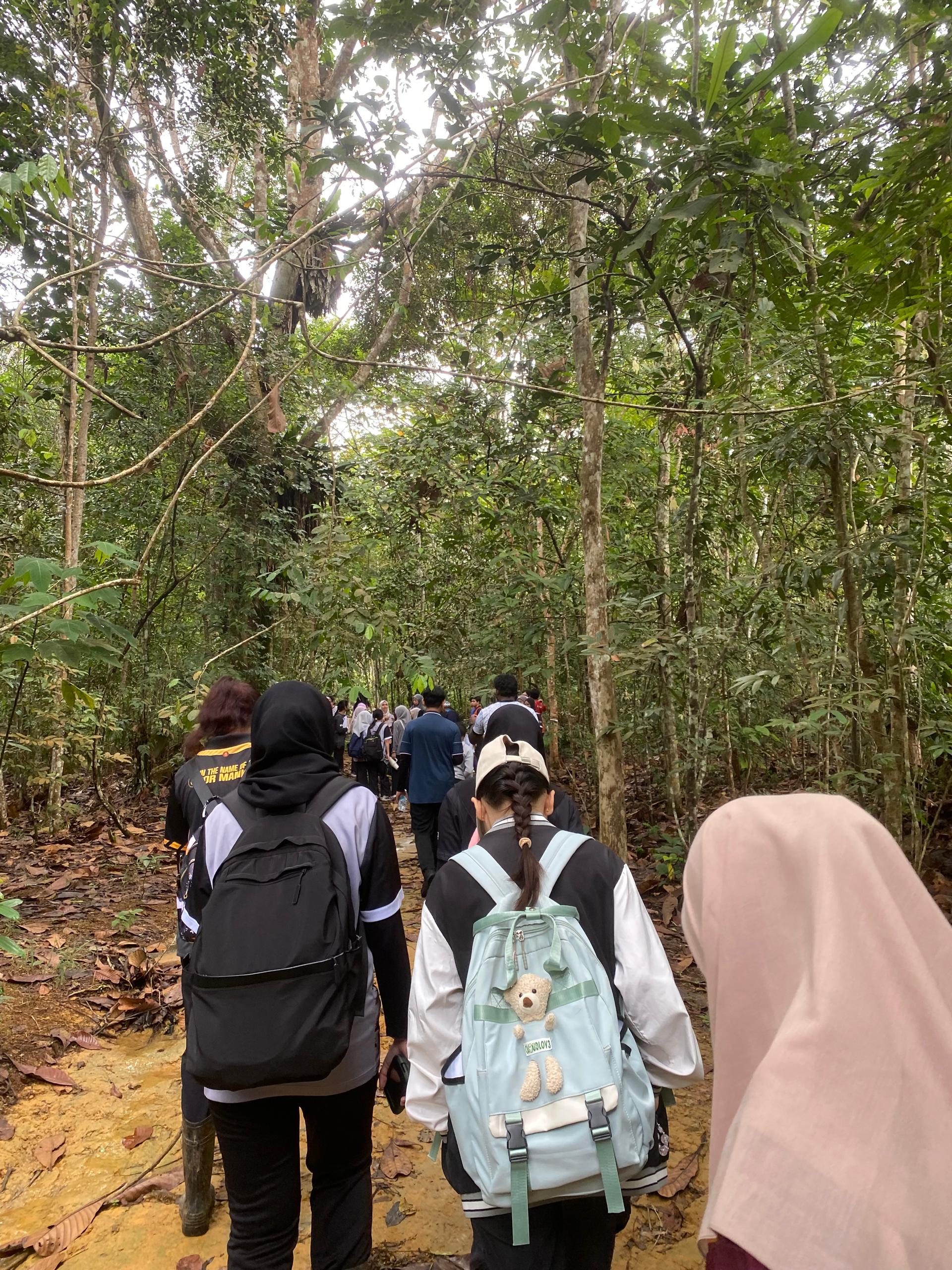 Data Collection Image